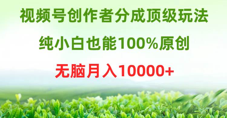 视频号创作者分成顶级玩法,纯小白也能100%原创,无脑月入10000+网创吧-网创项目资源站-副业项目-创业项目-搞钱项目网创吧