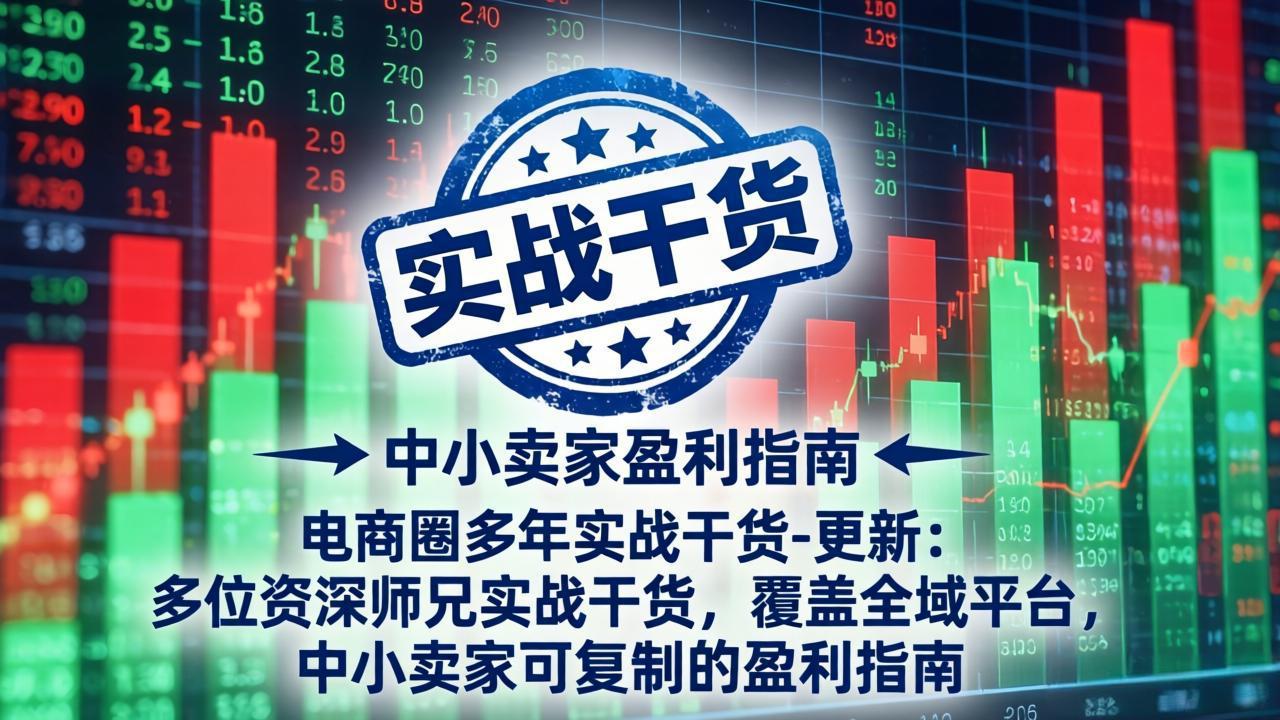 （19447期）电商圈多年实战干货-更新2026：多位资深师兄实战干货/覆盖全域平台，中小卖家可复制的盈利指南武野创库-网创项目资源站-副业项目-创业项目-搞钱项目野创库