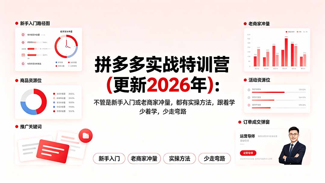 （19291期）拼多多实战特训营(更新2026年)：不管是新手入门或老商家冲量，都有实操方法，跟着学，少走弯路武野创库-网创项目资源站-副业项目-创业项目-搞钱项目野创库