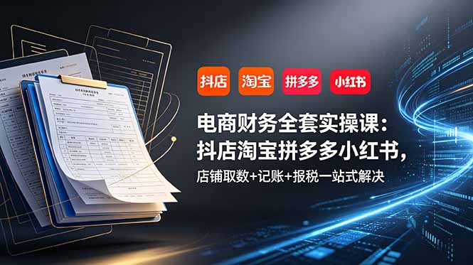 （19001期）电商财务全套实操课：抖店淘宝拼多多小红书，店铺取数+记账+报税一站式解决武野创库-网创项目资源站-副业项目-创业项目-搞钱项目野创库