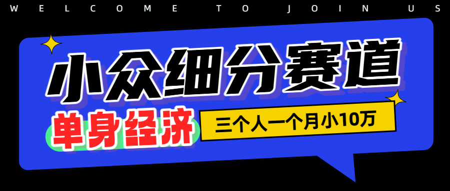 小众流量掘金，三个人一月小10W武野创库-网创项目资源站-副业项目-创业项目-搞钱项目野创库