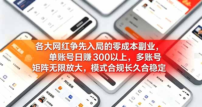 （19092期）各大网红争先入局的零成本副业，单账号日赚 300 以上，多号矩阵可放大，模式合规长久稳定！武野创库-网创项目资源站-副业项目-创业项目-搞钱项目野创库