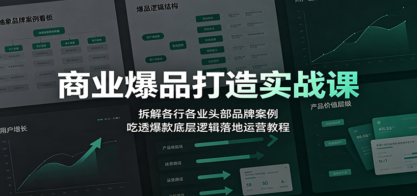 商业爆品打造实战课:拆解各行各业头部品牌案例,吃透爆款底层逻辑落地运营教程武野创库-网创项目资源站-副业项目-创业项目-搞钱项目野创库