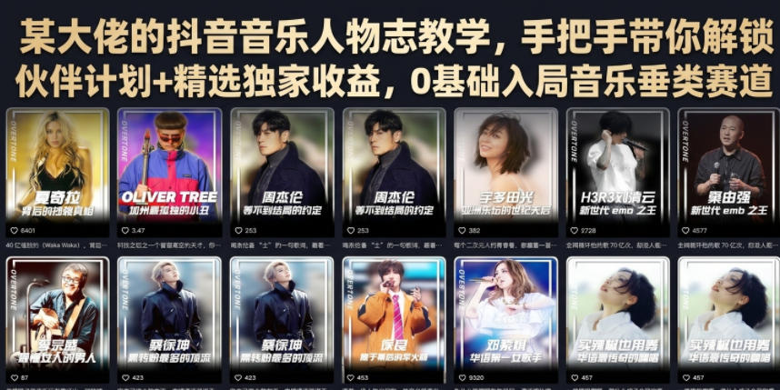 某大佬的抖音音乐人物志教学，手把手带你解锁伙伴计划+精选独家收益，0基础入局音乐垂类赛道武野创库-网创项目资源站-副业项目-创业项目-搞钱项目野创库