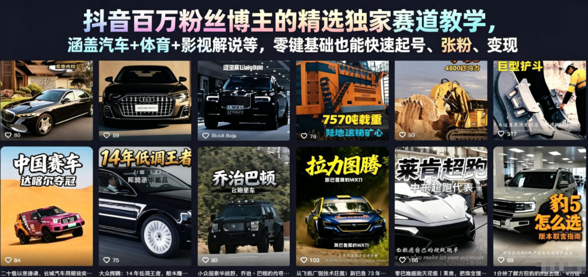 抖音百万粉丝博主的精选独家赛道教学，涵盖汽车+体育+影视解说等，零基础也能快速起号、涨粉、变现（更新0701）武野创库-网创项目资源站-副业项目-创业项目-搞钱项目野创库