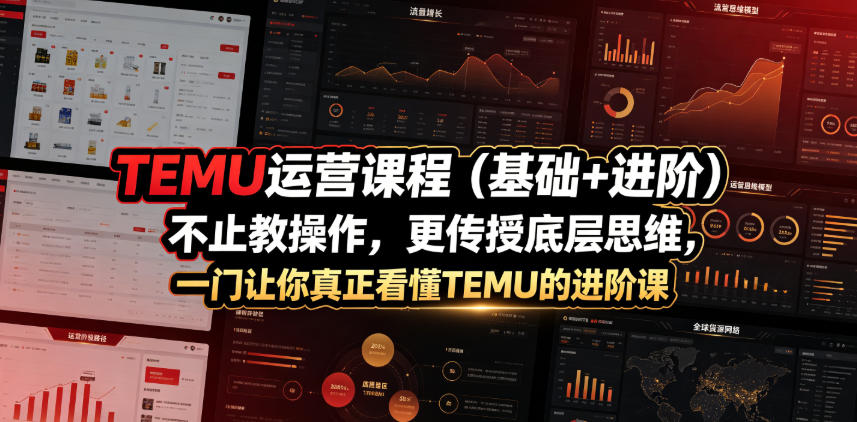 TEMU运营课程（基础+进阶），不止教操作，更传授底层思维，一门让你真正看懂TEMU的进阶课武野创库-网创项目资源站-副业项目-创业项目-搞钱项目野创库