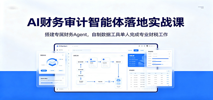 AI财务审计智能体落地实战课：搭建专属财务Agent，自制数据工具单人完成专业财税工作武野创库-网创项目资源站-副业项目-创业项目-搞钱项目野创库