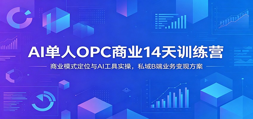 AI单人OPC商业14天训练营：商业模式定位与AI工具实操，私域B端业务变现方案武野创库-网创项目资源站-副业项目-创业项目-搞钱项目野创库