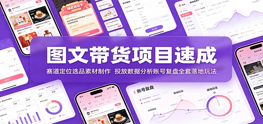 图文带货项目速成：赛道定位选品素材制作，投放数据分析账号复盘全套落地玩法武野创库-网创项目资源站-副业项目-创业项目-搞钱项目野创库