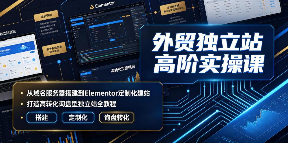 外贸独立站高阶实操课｜从域名服务器搭建到Elementor定制化建站，打造高转化询盘型独立站全教程武野创库-网创项目资源站-副业项目-创业项目-搞钱项目野创库