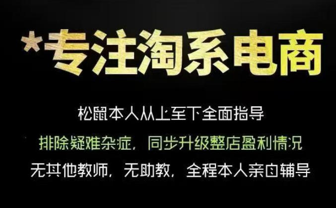 松鼠会电商VIP课程，从基础布局到高阶优化，助你掌握淘宝运营逻辑，提升店铺流量与转化武野创库-网创项目资源站-副业项目-创业项目-搞钱项目野创库